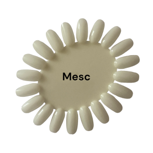 Margareta / paletar crem natur pentru expus nuantele 20 pozitii