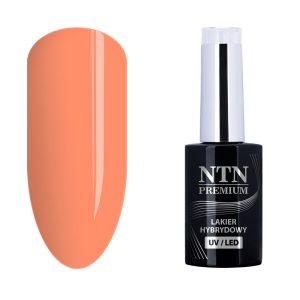 Oja NTN semipermanenta 5gr - Nr.37