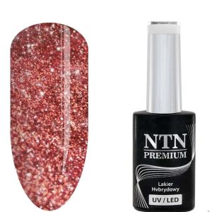 Oja NTN semipermanenta 5gr - Nr.240