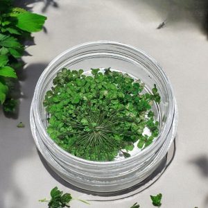 Flori Naturale Uscate Decor Unghii