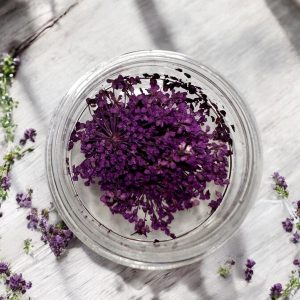 Flori Naturale Uscate Decor Unghii