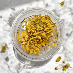 Flori Naturale Uscate Decor Unghii