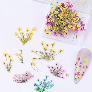 Decor unghii flori naturale uscate