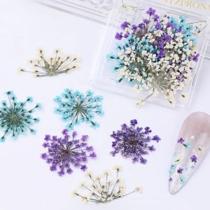 Decor unghii flori naturale uscate