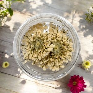 Flori Naturale Uscate Decor Unghii