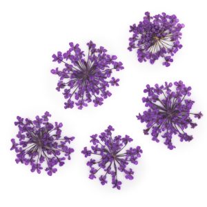 Flori Naturale Uscate Decor Unghii Purple 5buc.