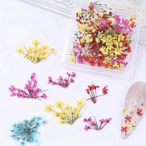 Decor unghii flori naturale uscate