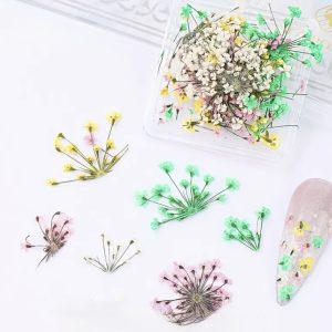 Decor unghii flori naturale uscate