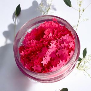 Decor unghii stelute