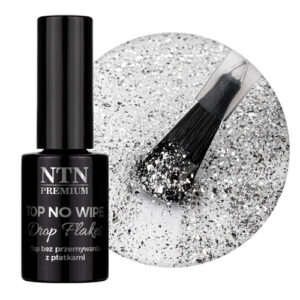 Top Coat Drop Silver fără ștergere NTN Premium 7g