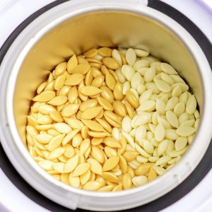 Ceară ItalWax Natural Film Wax 100g.