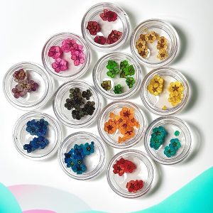 Flori Naturale Uscate Decor Unghii set 12