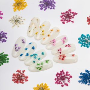 Flori naturale uscate