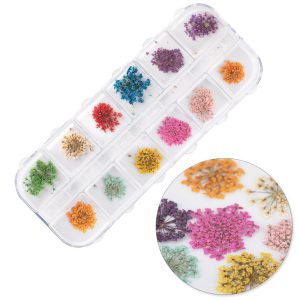 Flori uscate pentru decorarea unghiilor într-o casetă Molly Nails tip A 24 buc.