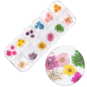 Flori uscate pentru decorarea unghiilor într-o casetă Molly Nails tip B 36 buc.