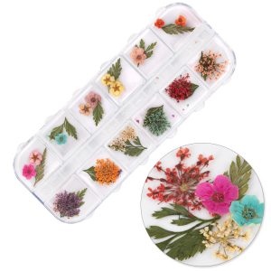 Flori uscate pentru decorarea unghiilor într-o casetă Molly Nails tip E 36 buc.