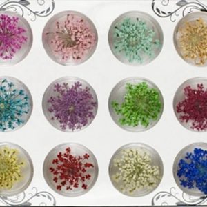 Flori naturale uscate decor unghii det 12 buc.