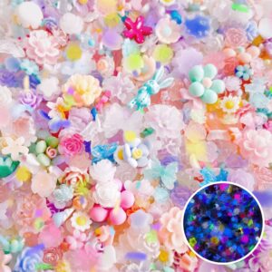 Decoratiuni Unghii Charms 3D Mix Resin Fosforescente #04