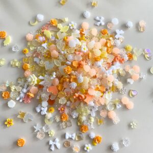 Decoratiuni Unghii Charms 3D Mix Resin #14